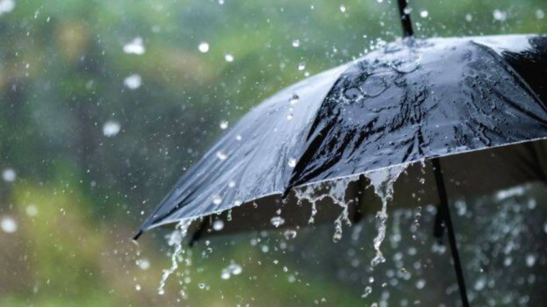 मध्य प्रदेश में मानसून की दस्तक करीब, 2-3 दिनों में प्रवेश की संभावना