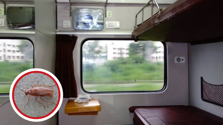 इंदौर-दौंड एक्सप्रेस में चूहों-कॉकरोच का आतंक: मां ने बेटी बचाने के लिए एसी डक्ट पर लगाई बेडशीट