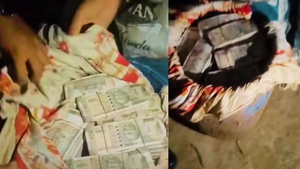 प्रयागराज: जमीन में गाड़े नीले ड्रमों से निकला करोड़ों का कैश